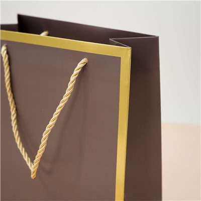 Пакет подарочный (S) «Classic line», light brown (24.5*19.5*9.5)