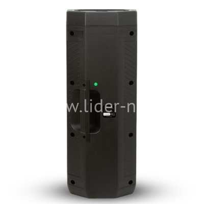 Колонка 06" (20-10 DANCE BOX 300) динамик 2шт/6.5" ELTRONIC с TWS