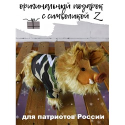 Защитник-3