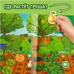 Наклейки многоразовые «Что где растёт», формат А4