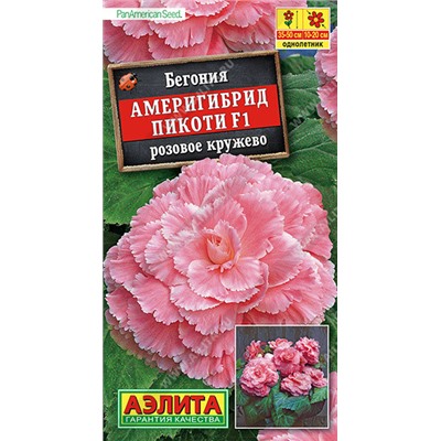 1162 Бегония Америгибрид Пикоти F1 розовое кружево 5шт
