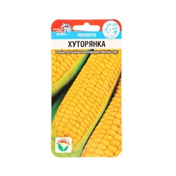 Семена Кукуруза сахарная «Хуторянка», 6 шт., «Сибирский сад»