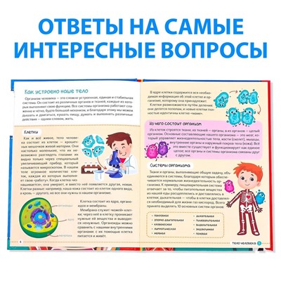 Энциклопедия в твёрдом переплёте «Тело человека», 48 стр.
