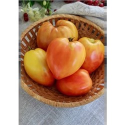 Семена Томат БыС 3 (Абрикосовый), арт.: 74842