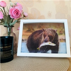 3Д картинка "Медведь, поймавший рыбу" 14,5 х 19,5 см х М-0019, голографическая открытка с изображением медведя, без рамки