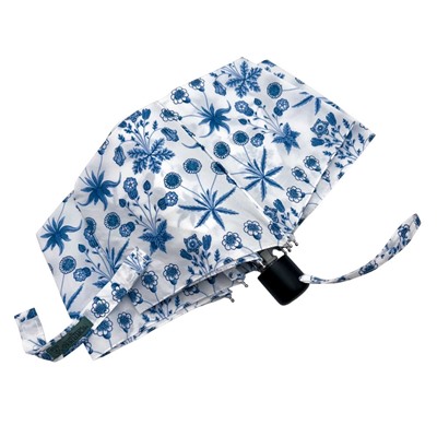 L907-4528 Daisy Blue Ivory (Голубые цветы) Зонт женский механика Morris Co Fulton