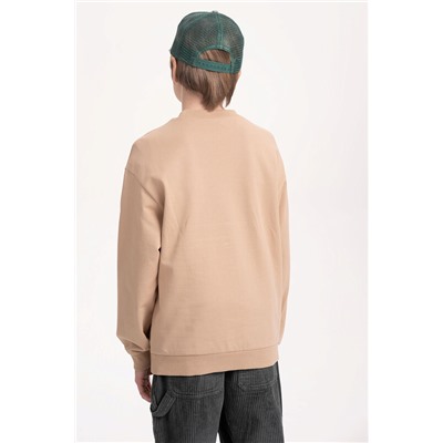 Толстовка для мальчиков