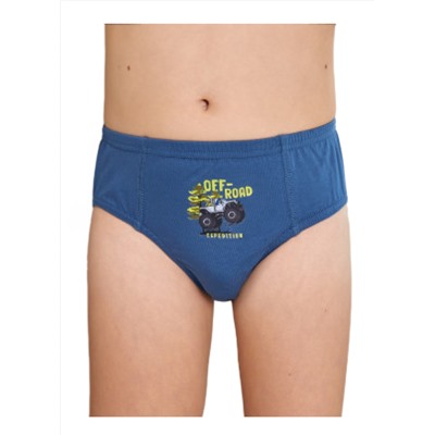 Трусы для мальчика Berrak