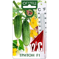 Огурец Тритон F1