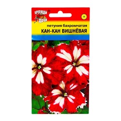 Семена цветов Петуния "Кан Кан", Вишнёвая, 0,01 гр.,