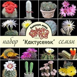 Набор семян (детский, семейный) "КАКТУСЕНОК"