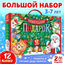 УЦЕНКА Набор «Новогодний подарок», 12 книг