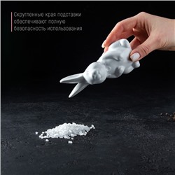 Набор для специй Доляна «Зайка», солонка 50 мл, перечница 50 мл, доломит, белый