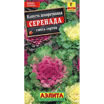 1338 Капуста декоративная Серенада, смесь сортов 0,1гр