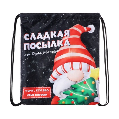 Новогодний мешок под сладости 290×340 мм «Посылка от Деда Мороза» (мягкий полиэстер плотностью 210D)