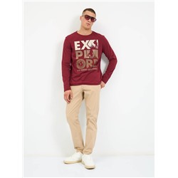 Футболка мужская арт. 02245/Explore