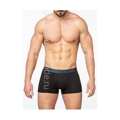 TS7801-6 Трусы мужские Дроп Tousite боксеры