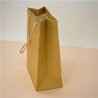 Пакет подарочный (S) «Classic line», gold (24.5*19.5*9.5)