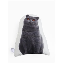 Подушка «Этель» Scottish cat, 40×33 см, 100% п/э, велюр