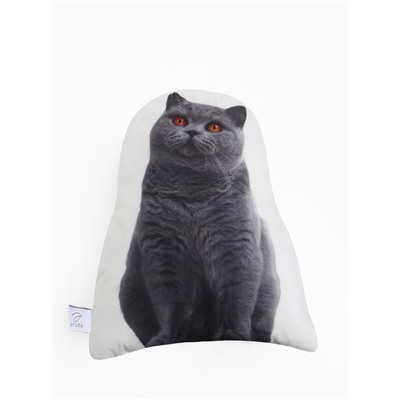 Подушка «Этель» Scottish cat, 40×33 см, 100% п/э, велюр