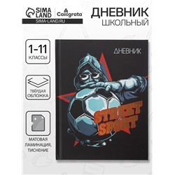Дневник школьный для 1-11 классов, Street Sport, твёрдая обложка 7БЦ, матовая ламинация, тиснение фольгой, 40 листов