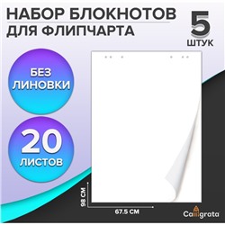 Набор блокнотов 5 штук для флипчарта, 67.5×98 см, 20 листов белый, 92%, 80 г/м², Calligrata