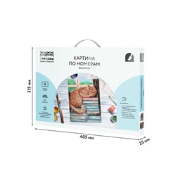 Картина по номерам на холсте ТРИ СОВЫ "Дневной сон", 30*40, с акриловыми красками и кистями