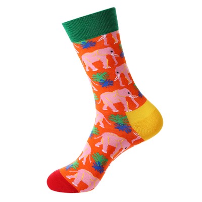 Demi-season brand trend socks, European style