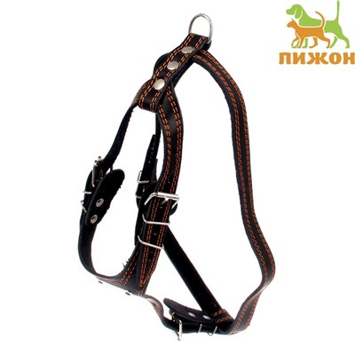 Шлейка кожаная «Караульная», 2.5 см, ОШ40-66 см, ОГ 81-100 см, чёрный