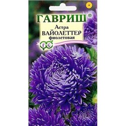 Астра Вайолеттер ФИОЛЕТОВАЯ пионов