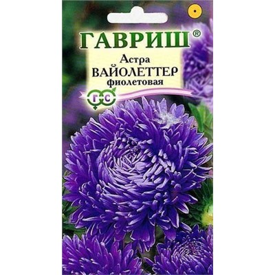 Астра Вайолеттер ФИОЛЕТОВАЯ пионов