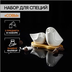 Набор для специй BellaTenero «Совы», солонка 100 мл, перечница 130 мл, на бамбуковой подставке, фарфор, белый