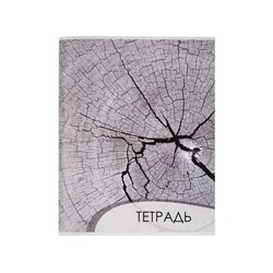 Тетрадь 96 листов в клетку Calligrata «Текстура 2», обложка мелованный картон, блок офсет, МИКС