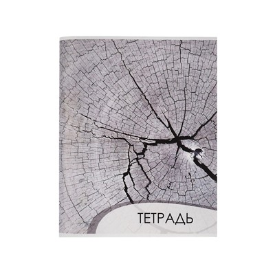 Тетрадь 96 листов в клетку Calligrata «Текстура 2», обложка мелованный картон, блок офсет, МИКС
