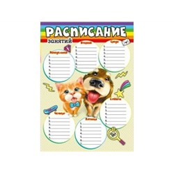 РАСПИСАНИЕ (А4, ВЕРТИКАЛЬНЫЙ) картон