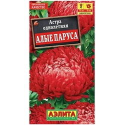 Астра Алые Паруса китайская