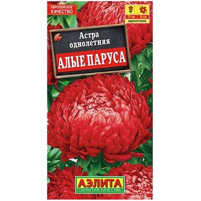 Астра Алые Паруса китайская