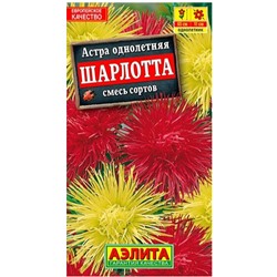 Астра Шарлотта