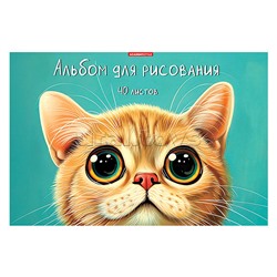 Альбом для рисования 40л А4 "Пучеглазик"
