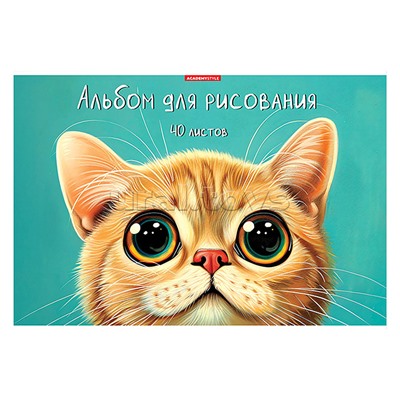 Альбом для рисования 40л А4 "Пучеглазик"