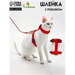 Комплект для кошек, ширина 1,5 см, ОШ 16,5-27 см, ОГ 21-35 см, поводок 120 см, красный
