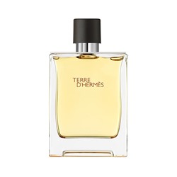 Hermes Terre D'hermes edt 100 ml