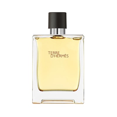 Hermes Terre D'hermes edt 100 ml