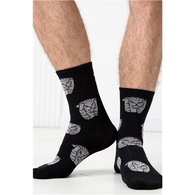 Носки мужские Драматик кот (набор 2 пары)