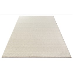 Ковер Fenix 0.6x0.8 м 1059 1 34100