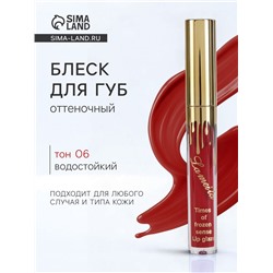 Блеск для губ оттеночный, водостойкий, 6.5 г, оттенок №6