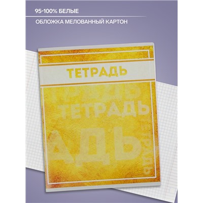 Тетрадь 48 листов в клетку Calligrata «Фактура-2», обложка мелованный картон, блок офсет, МИКС