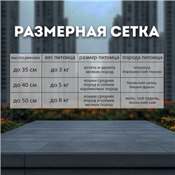 Рюкзак-переноска для кошек и собак, 39 х 40 х 25 см, бирюза