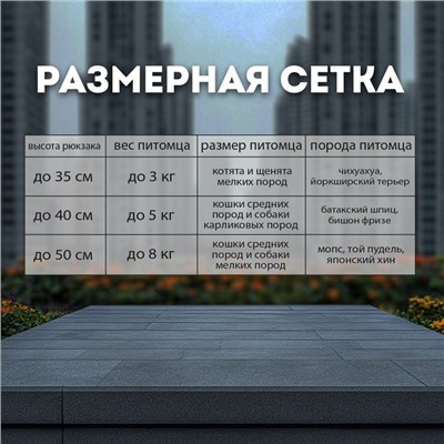 Рюкзак-переноска для кошек и собак, 39 х 40 х 25 см, бирюза