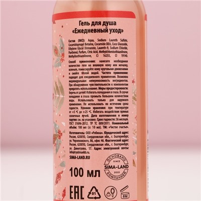 Подарочный набор новогодний женский «Верь в мечту», гель для душа, пена для ванны, 2×100 мл, Чистое счастье